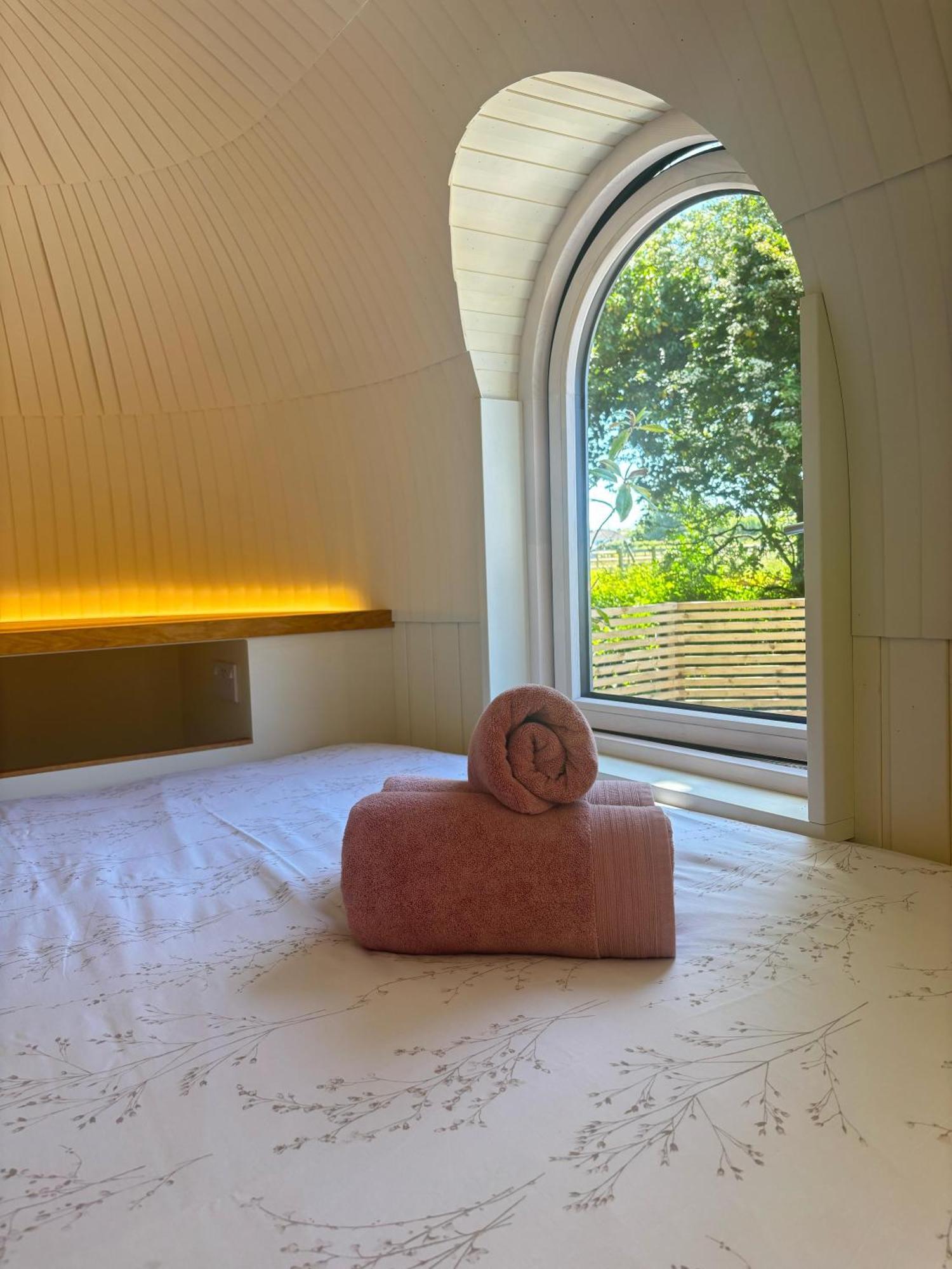 Quarrywood Glamping テンビー エクステリア 写真